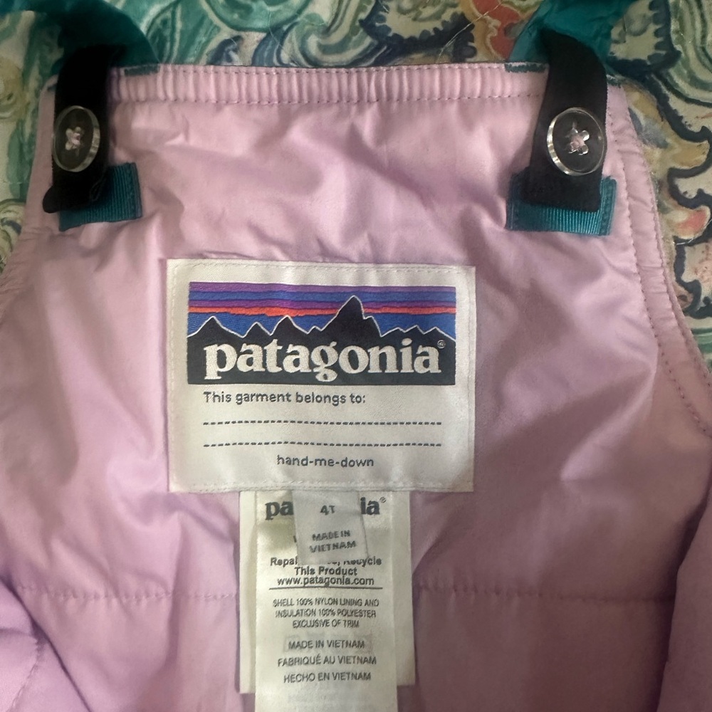Patagonia Toddler’s  Snow Bibs Unisex - Picture 4 of 7